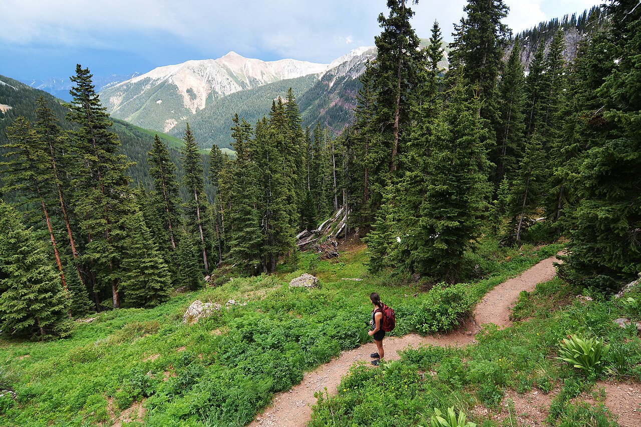 A field trip leader on the trail