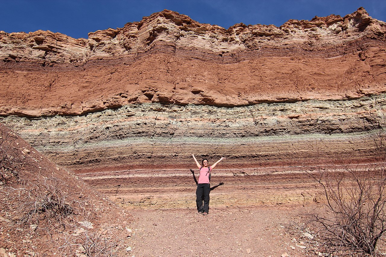 Layered rock strata exposed in the field