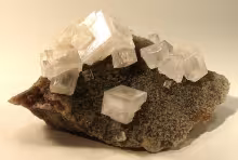 Cubic halite (rock salt) crystals
